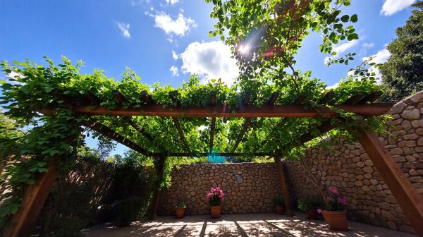 Le migliori opzioni per la tua pergola bioclimatica ideale