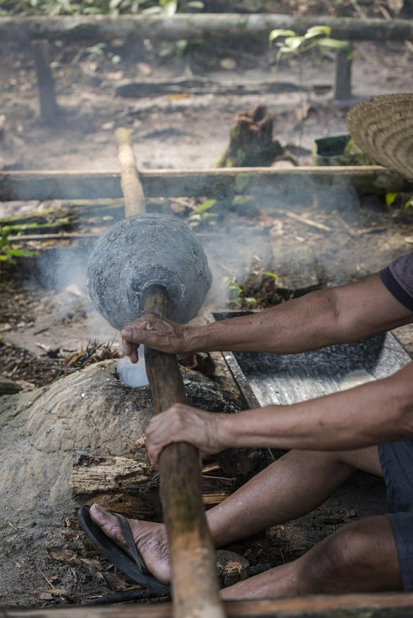 Quali sono i segnali di avvertimento di un colpo di calore in un cane e come reagire tempestivamente?